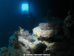 Ex-HMAS Hobart in South Australia by Ashley Deevesh Hemraj 